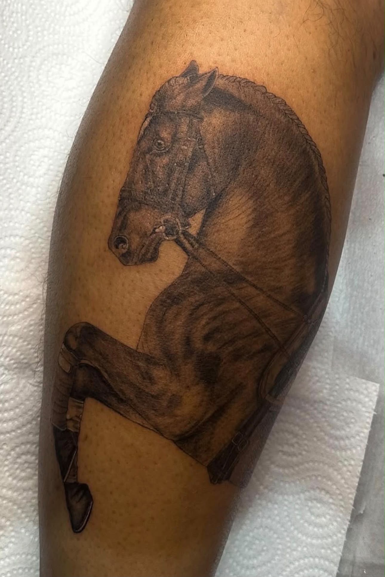 Tatuaje realista de caballo